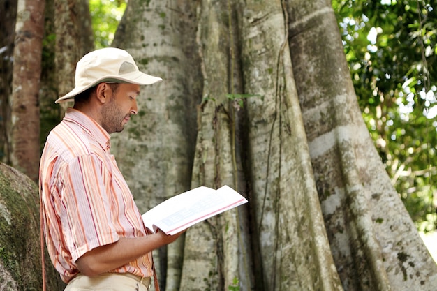 Vista lateral del botánico masculino caucásico con sombrero panamá y camisa a rayas explorando especies en el trabajo de campo en el bosque tropical, de pie frente a una gran planta, leyendo información del árbol emergente en el manual