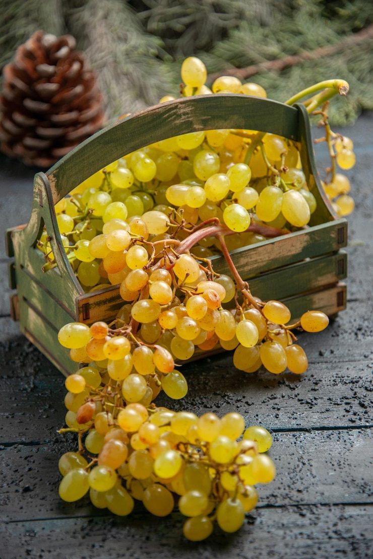 Foto gratuito vista lateral cercana de uvas blancas apetitosas uvas blancas en caja de madera en la mesa gris junto a ramas de abeto y conos
