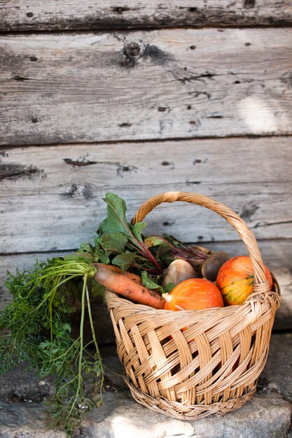 Vista lateral cesta con calabazas zanahorias y rábanos