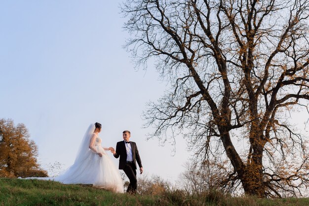 Vista lateral de elegantes recién casados caminando cogidos de la mano en el parque otoño