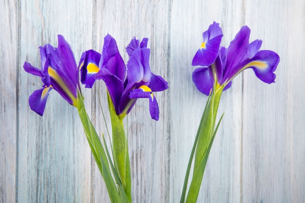 Vista lateral de flores de iris de color púrpura oscuro aislado sobre fondo de madera