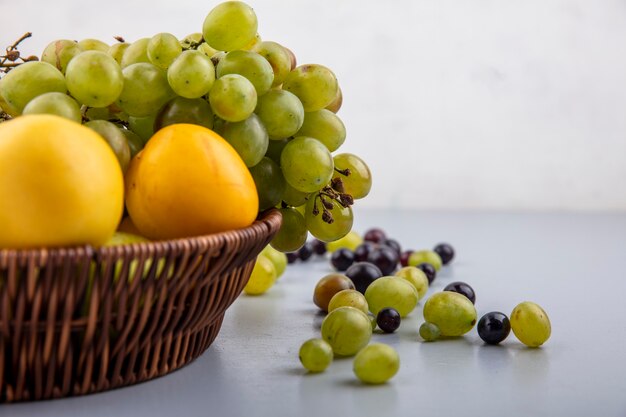 Vista lateral de frutas como uva nectacots en canasta con bayas de uva sobre superficie gris y fondo blanco.