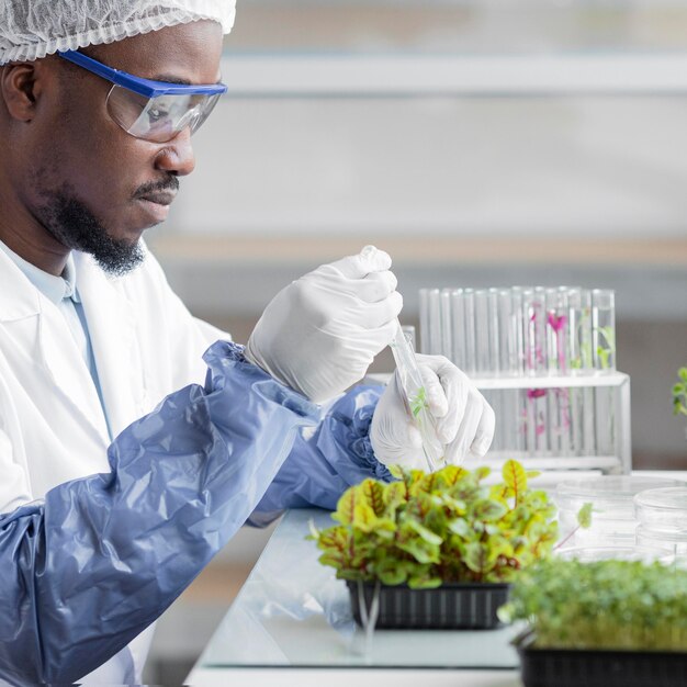 Vista lateral del investigador masculino en el laboratorio de biotecnología con planta