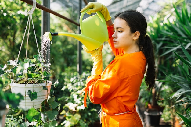 Vista lateral de un jardinero hembra regando planta en maceta en invernadero