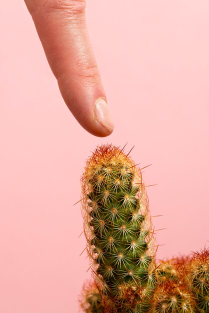 Vista lateral mano posando con cactus