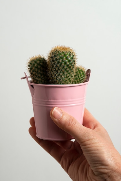 Vista lateral mano posando con cactus