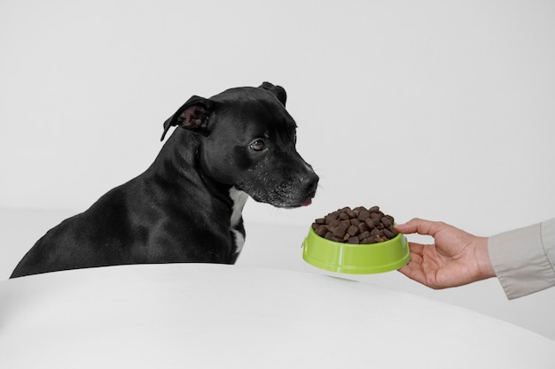 Foto gratuita vista lateral mano sosteniendo un tazón de comida para perros