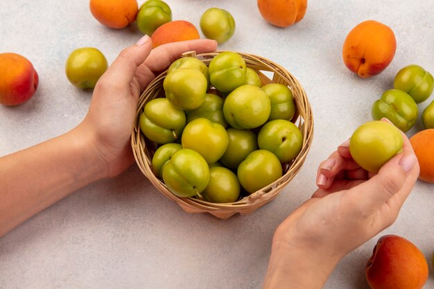 Vista lateral de manos femeninas sosteniendo la cesta de ciruelas verdes y ciruela entera con patrón de albaricoques y ciruelas sobre fondo blanco.