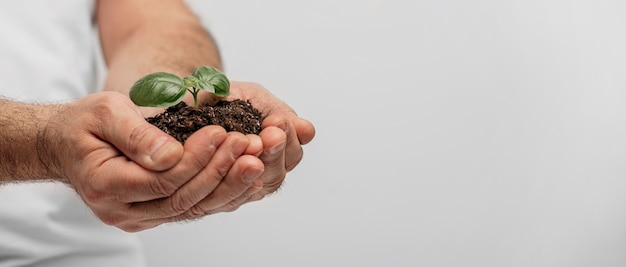 Vista lateral de manos masculinas sosteniendo el suelo y la planta con espacio de copia