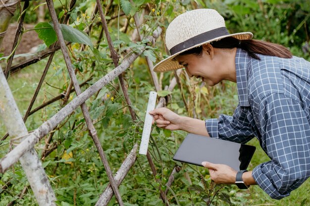 Vista lateral de la mujer asiática estudiando diferentes plantas con una tableta