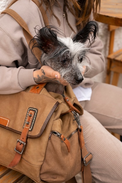 Foto gratuita vista lateral mujer con cachorro en bolsa