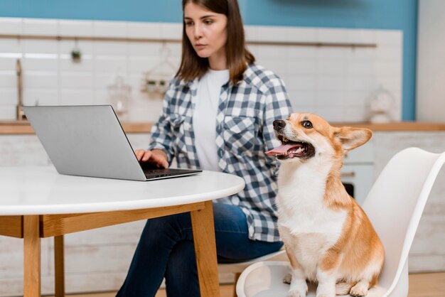 Vista lateral de la mujer que trabaja en casa en la computadora portátil con perro