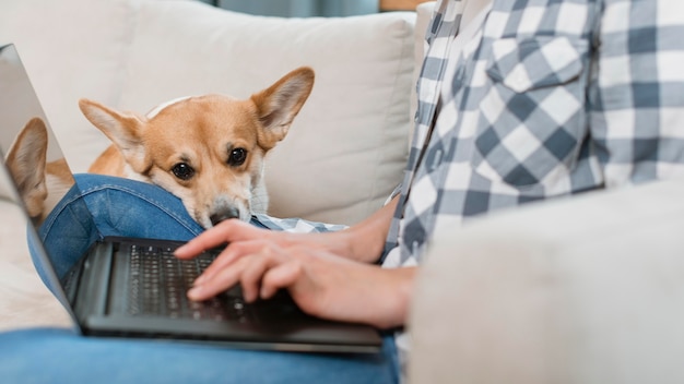 Vista lateral de la mujer que trabaja en la computadora portátil con su perro