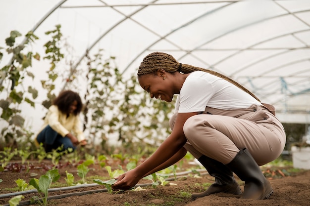 Vista lateral mujeres cuidando plantas.