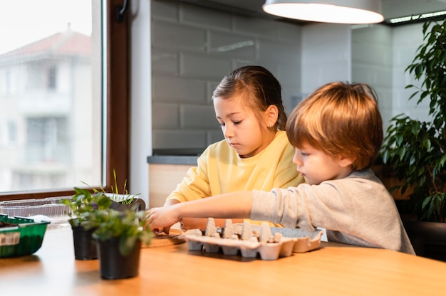 Vista lateral de niños plantando semillas en casa