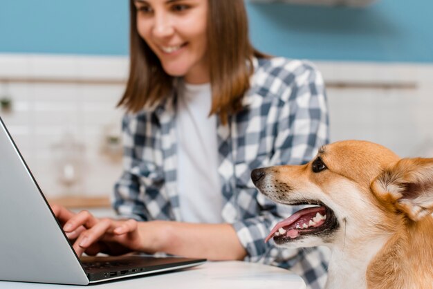 Vista lateral del perro que mira al dueño trabajando en la computadora portátil