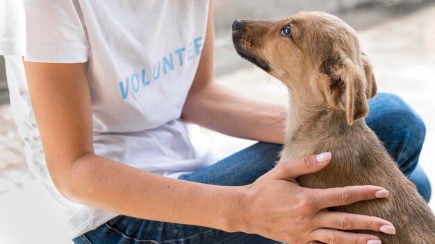 Vista lateral del perro de rescate amando el afecto que recibe de la mujer en el refugio