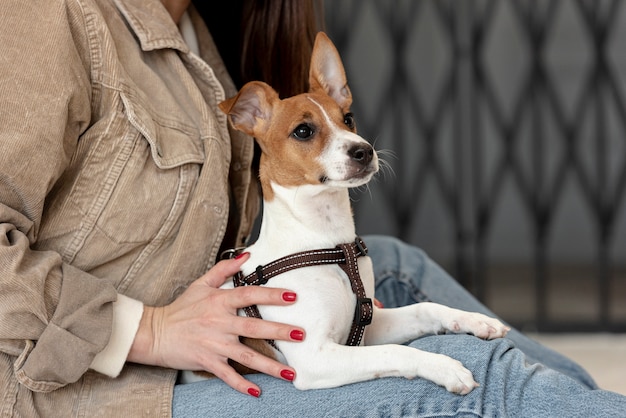 Foto gratuita vista lateral del perro sostenido por una mujer