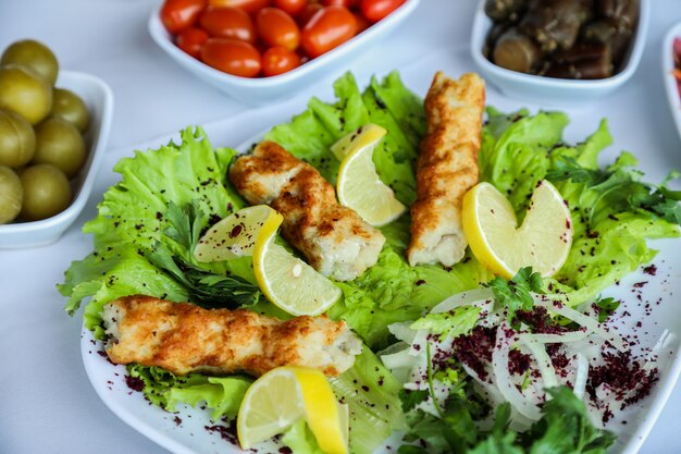 Vista lateral de pollo lula kebab con rodajas de limón y cebolla en una hoja de lechuga en un plato