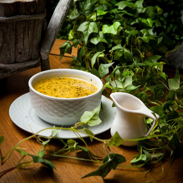 Vista lateral sopa de lentejas con vinagre y rama de uva en plato hondo