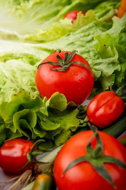 Vista lateral de verduras como cebollín tomate lechuga