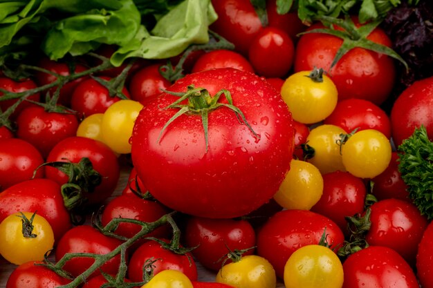 Vista lateral de verduras como espinacas, cilantro y tomates