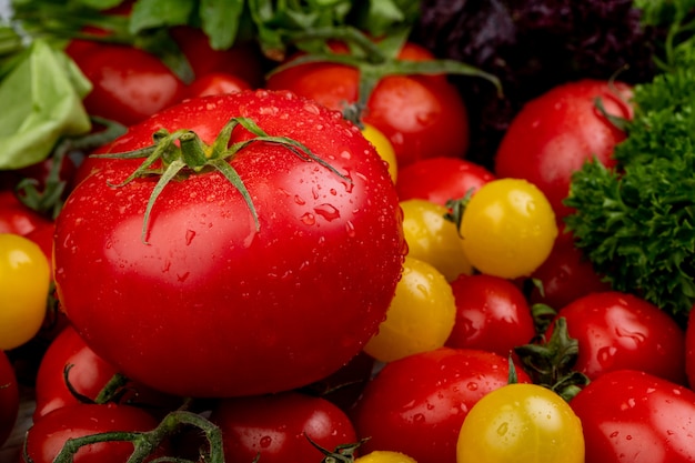 Vista lateral de verduras como espinacas, cilantro y tomates
