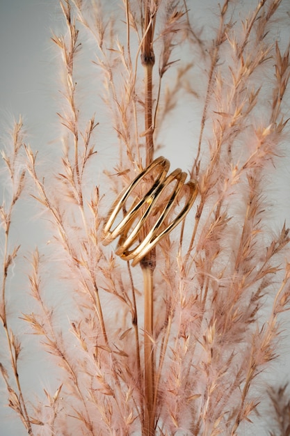 Foto gratuita vista del lujoso anillo dorado con planta seca.