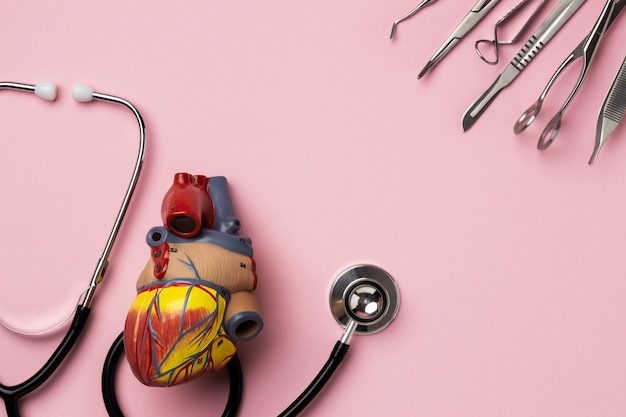 Vista del modelo anatómico del corazón con fines educativos con estetoscopio