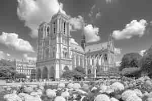 Foto gratuita vista monocromática de la catedral de notre dame para el día del patrimonio mundial