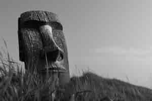 Foto gratuita vista monocromática del gigante de la isla de pascua para el día del patrimonio mundial