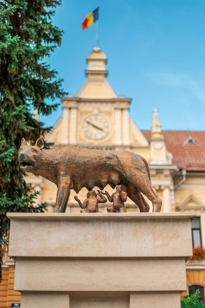 Foto gratuita vista del monumento al lobo capitolino en el antiguo centro de brasov, rumania casa de la ciudad al fondo