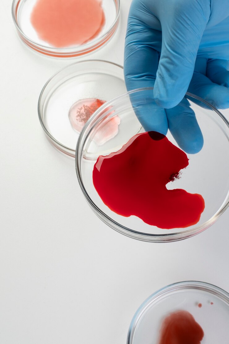 Foto gratuito vista de muestras de tubos de ensayo de laboratorio.