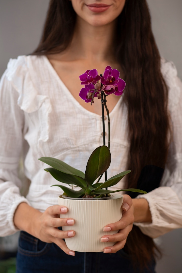 Foto gratuito vista de una mujer decorando su casa con una flor de orquídea