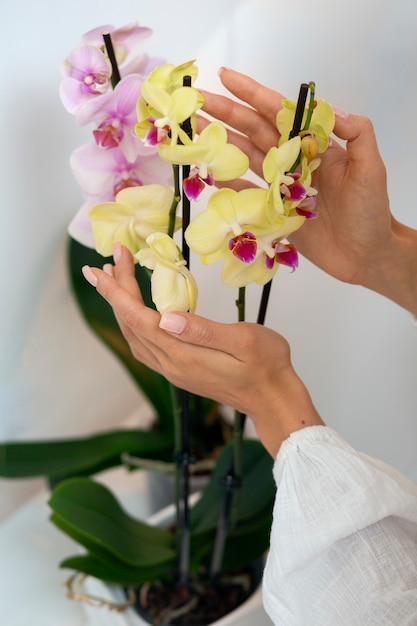 Vista de una mujer decorando su casa con una flor de orquídea