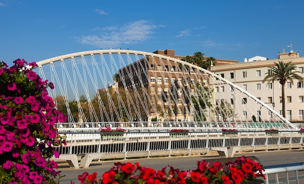 Foto gratuita vista de murcia. puente sobre segura