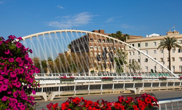 Vista de Murcia. Puente sobre Segura