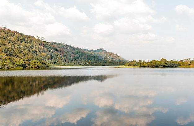 Vista de la naturaleza africana con árboles y lago