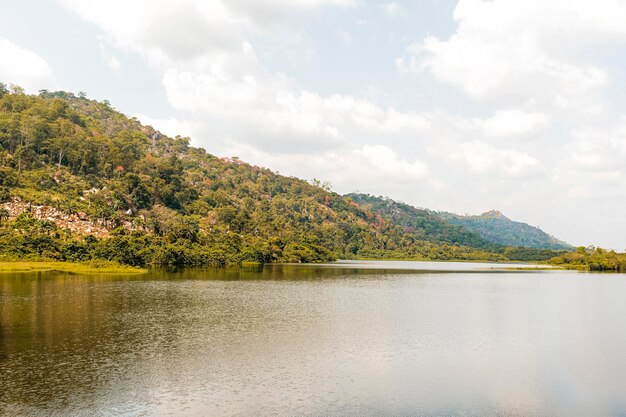 Vista de la naturaleza africana con lago y vegetación.