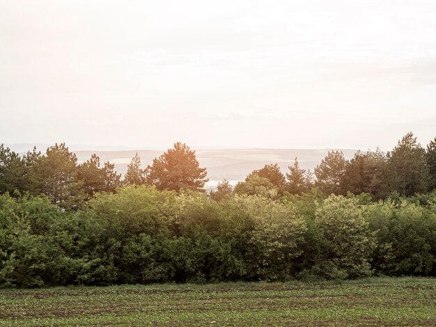 Vista de la naturaleza para el viajero