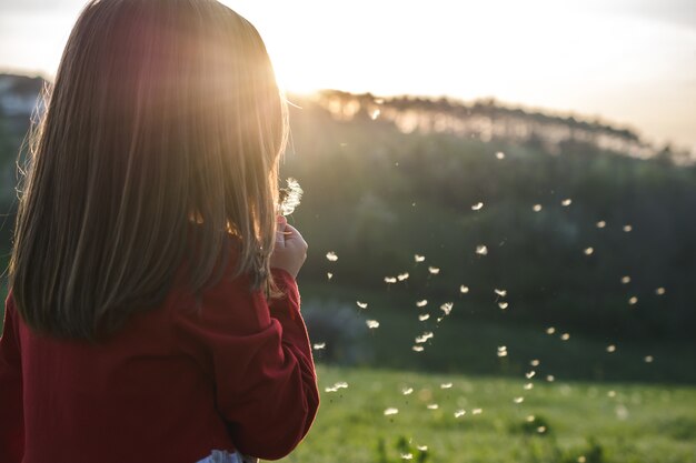 Vista de un niño vestido con una blusa roja y soplando diente de león en un campo en un día soleado