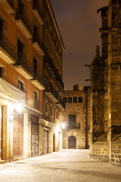 Vista nocturna del Barrio Gótico. Barcelona