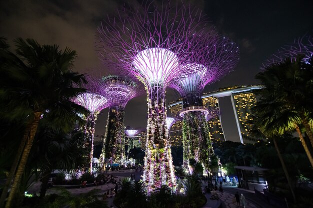 Una vista nocturna de Supertrees Grove, Cloud Forest Flower Dome en Gardens by the Bay