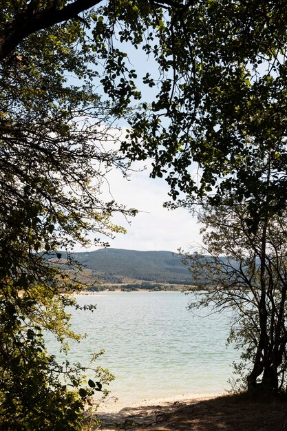 Vista pacífica del agua y los árboles.