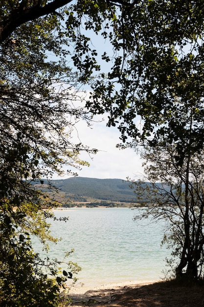 Vista pacífica del agua y los árboles.