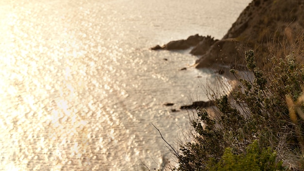 Vista pacífica de los recursos naturales del mar