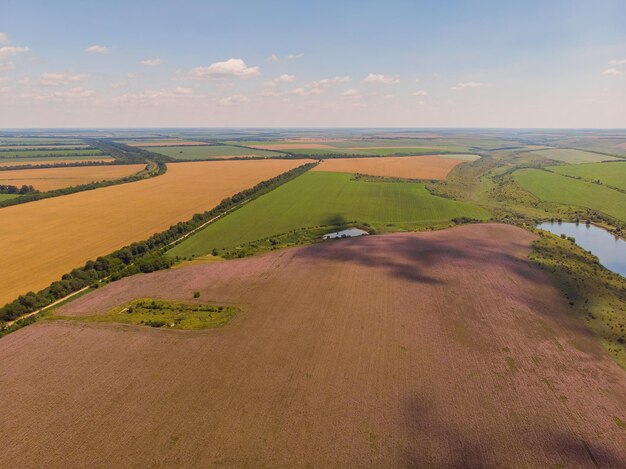 Vista de un paisaje con campo de lavanda