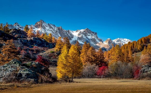 La vista del paisaje de montañas cubiertas de nieve y árboles en otoño