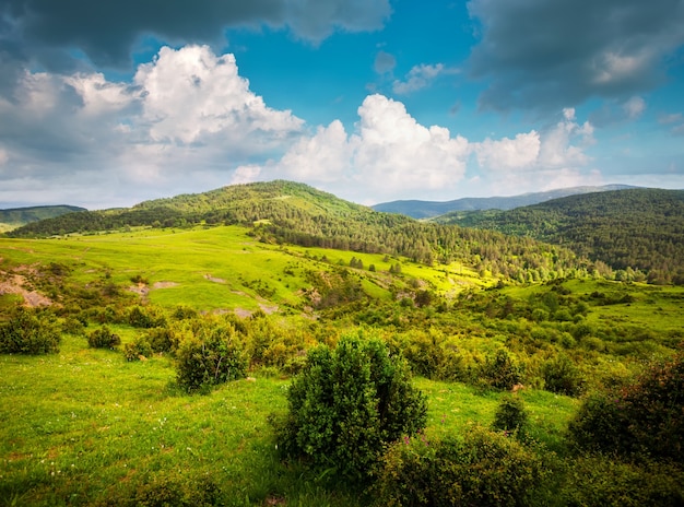 Vista del paisaje de las montañas