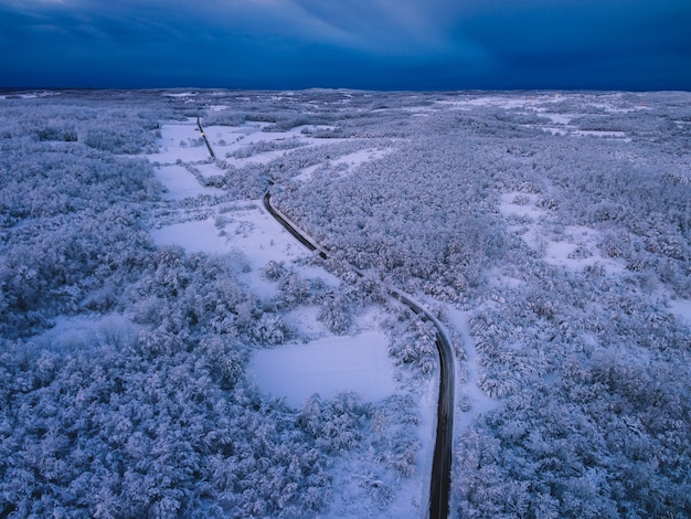 Vista de pájaro de una carretera rodeada de árboles cubiertos de nieve bajo un cielo nublado en la noche